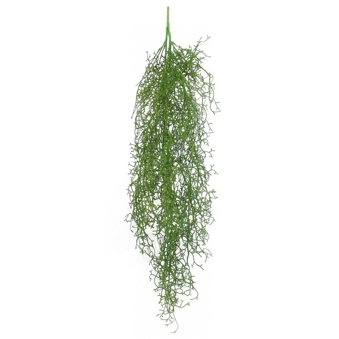 Tillandsia artificiel Tillandsia artificiel
