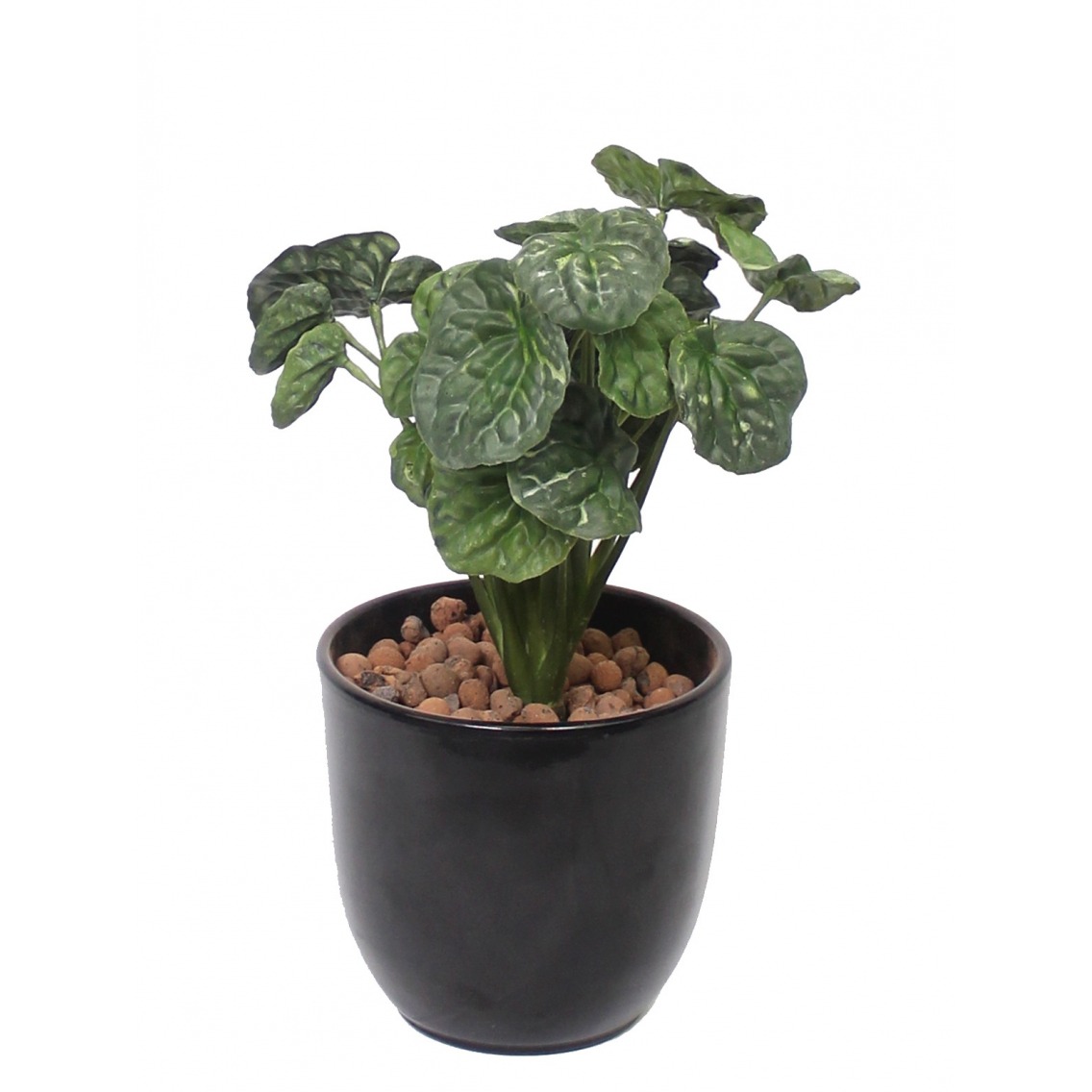 Peperomia artificiel Peperomia artificiel