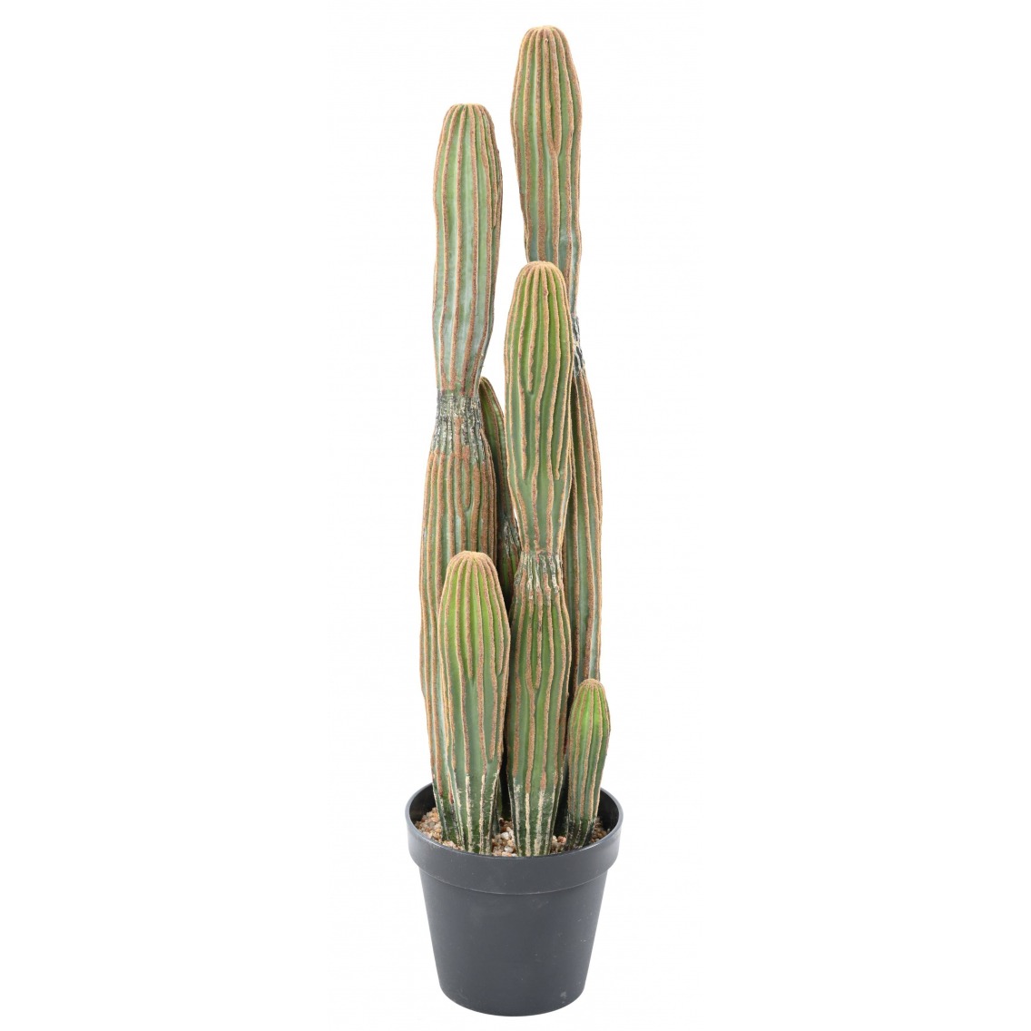 Cactus mammillaire allongé artificiel Cactus mammillaire allongé artificiel