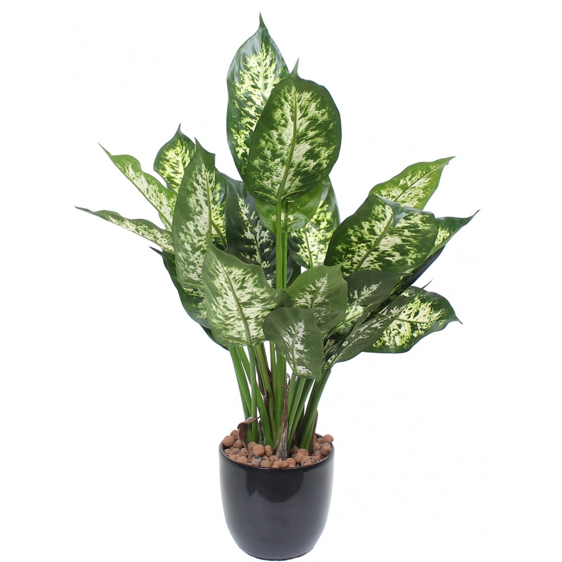 Dieffenbachia compacta artificiel Dieffenbachia compacta artificiel