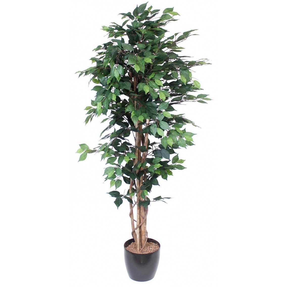 Ficus artificiel multitronc Ficus artificiel multitronc