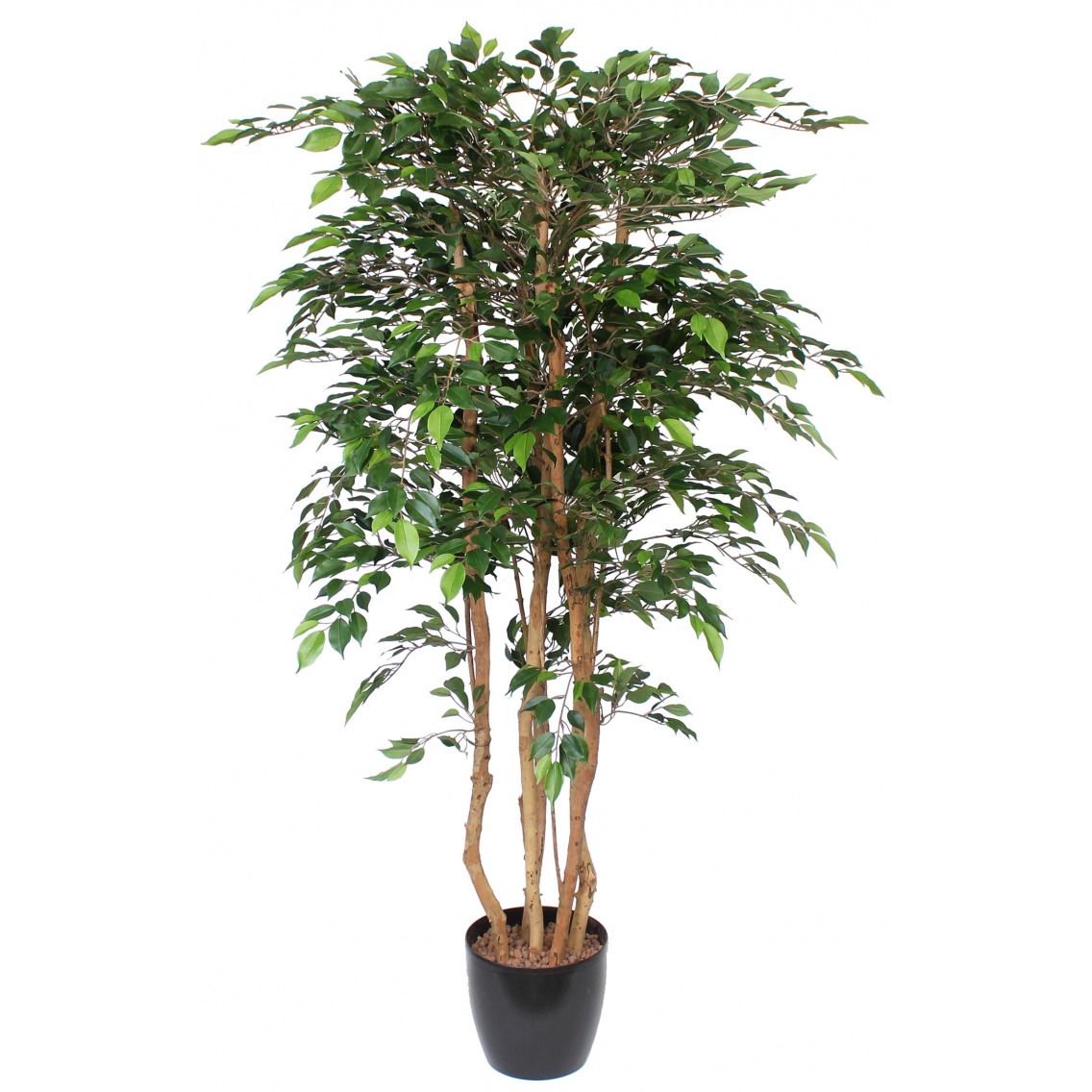 Faux ficus tête feuillue Faux ficus tête feuillue