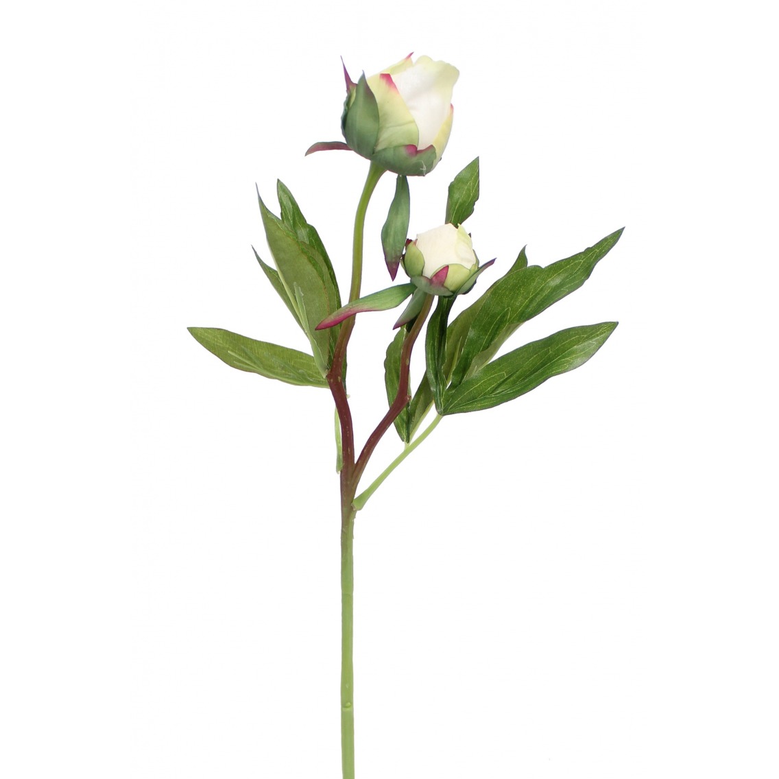 Pivoine herbacée artificielle Pivoine herbacée artificielle