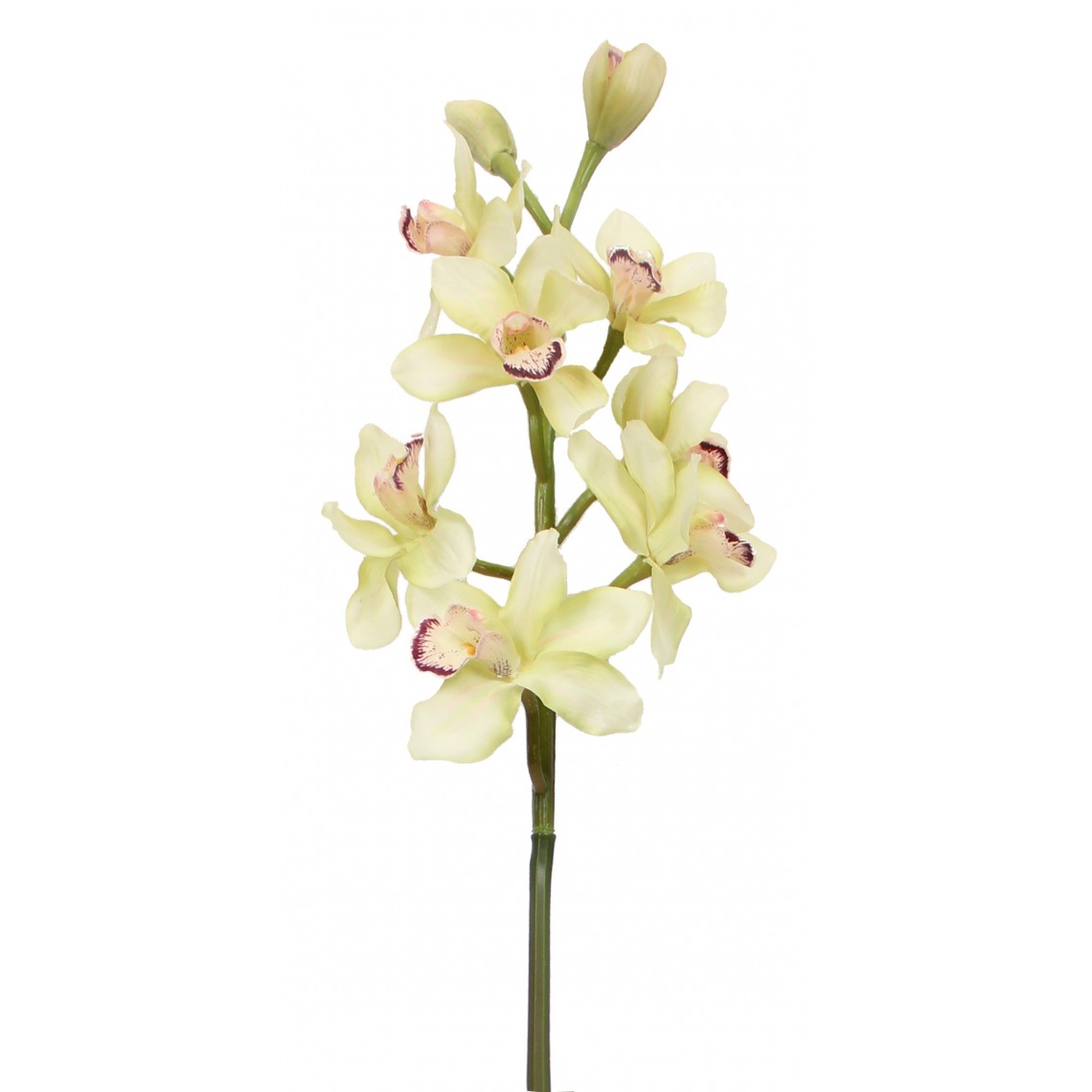 Cymbidium artificiel crème Cymbidium artificiel crème
