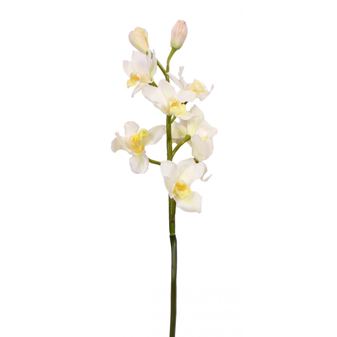 Cymbidium artificiel blanc Cymbidium artificiel blanc