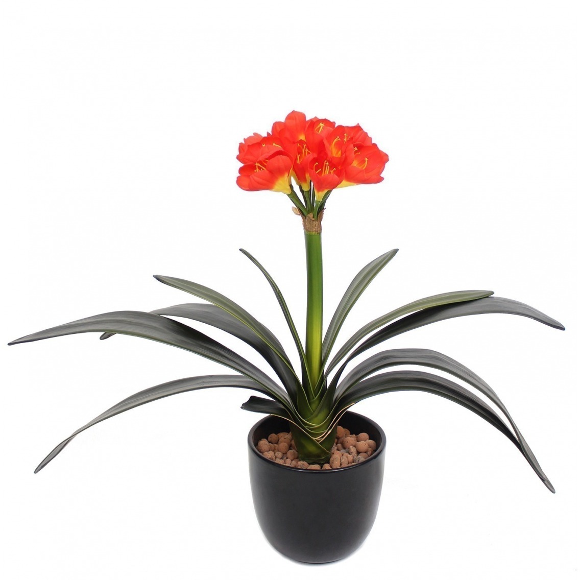 Clivia artificiel Clivia artificiel