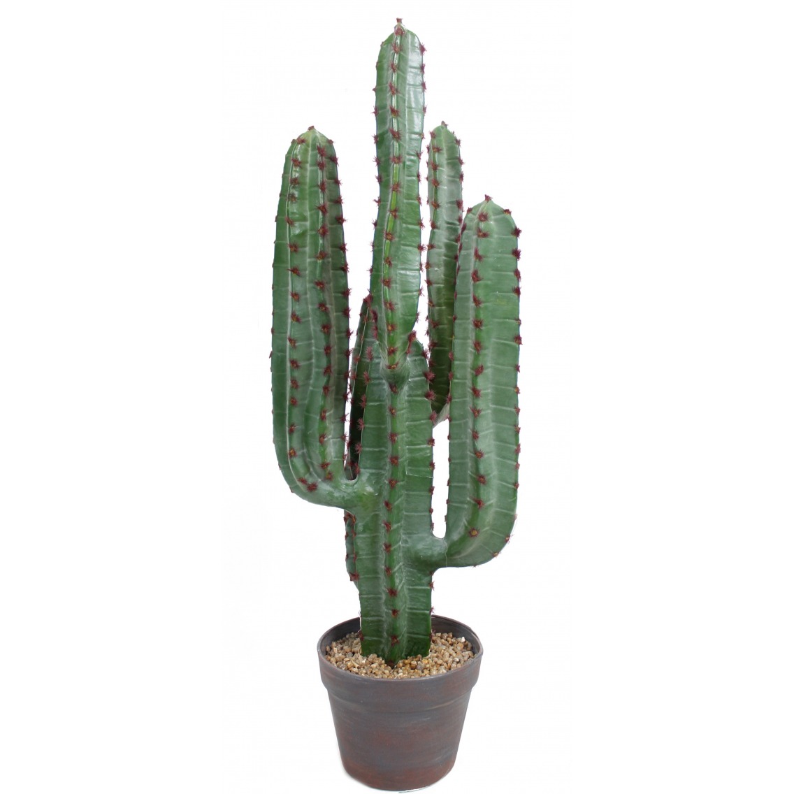 Cactus euphorbe artificiel Cactus euphorbe artificiel