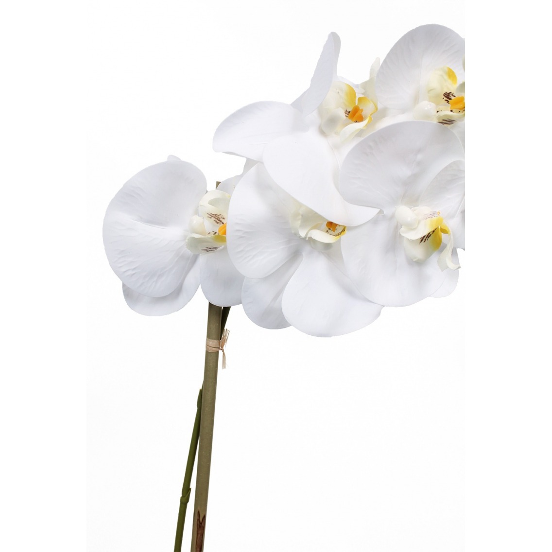 Orchidee Artificielle 9 Hampes En Coupe Ceramique Blanc H 70 Cm Magistrale Du Site .c