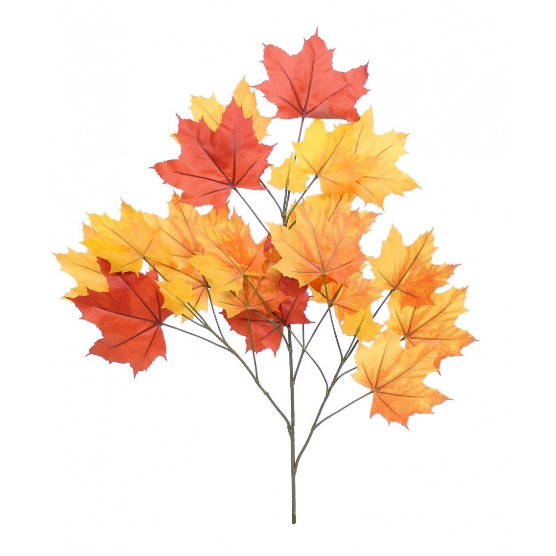 Feuille de platane automne Feuille de platane automne