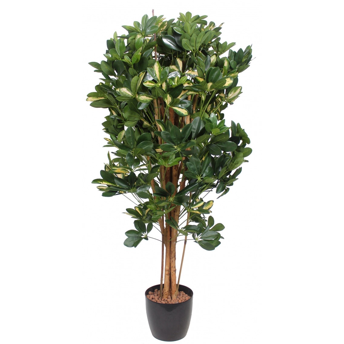 Schefflera arboricola artificiel Schefflera arboricola artificiel