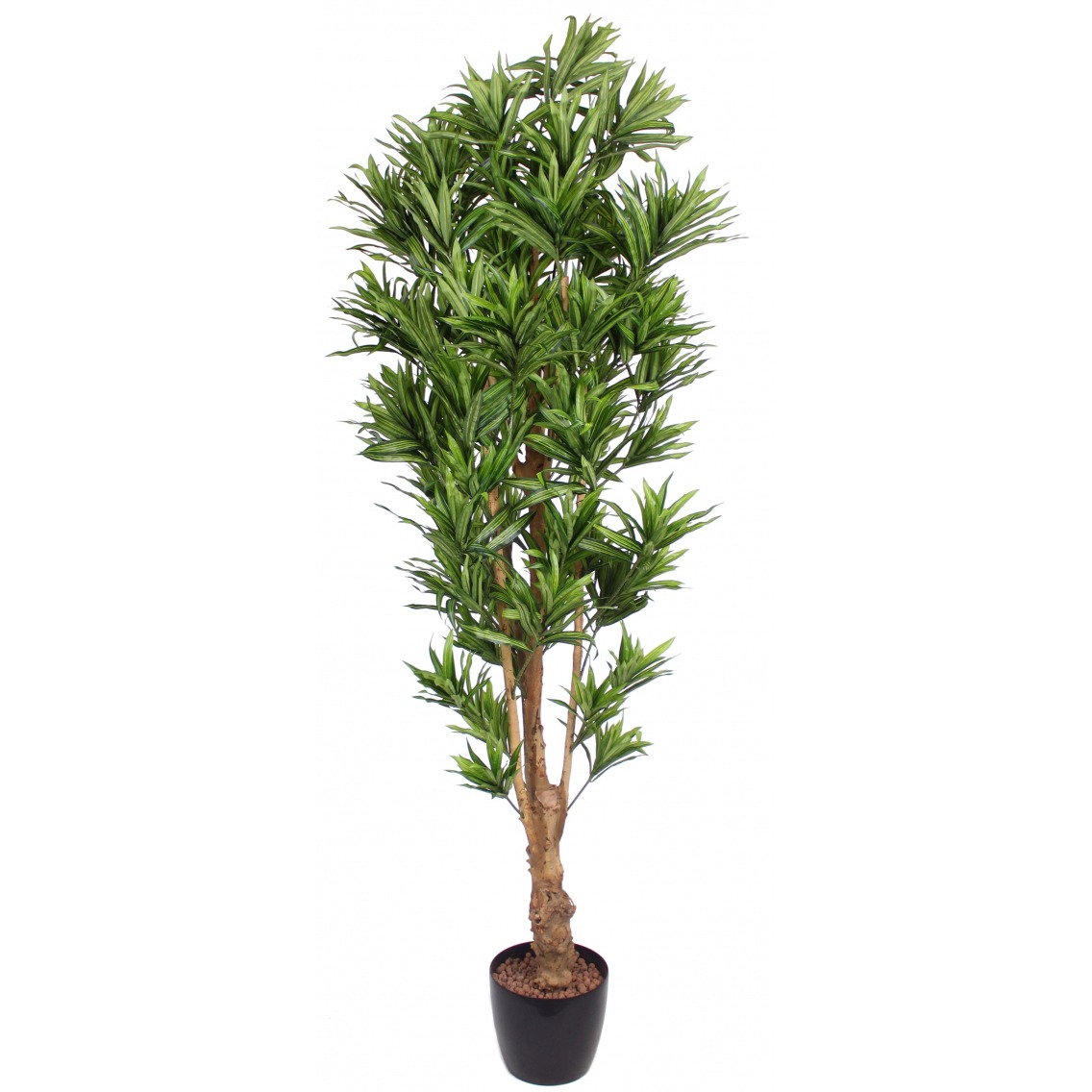 Dracaena artificiel reflexa Dracaena artificiel reflexa