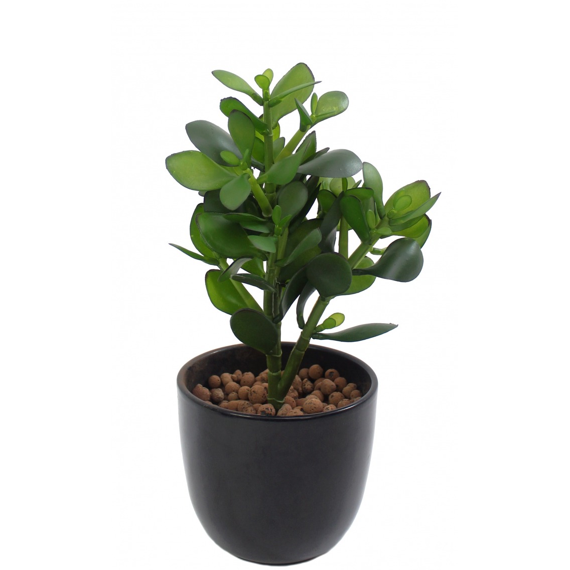 Arbre de jade artificiel Arbre de jade artificiel