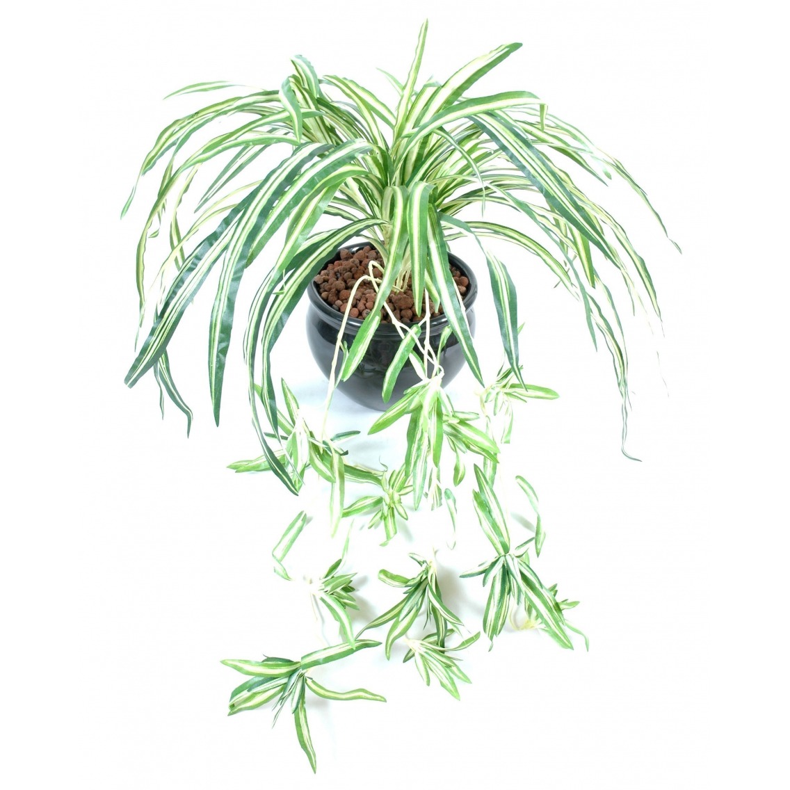 Chlorophytum artificiel Chlorophytum artificiel