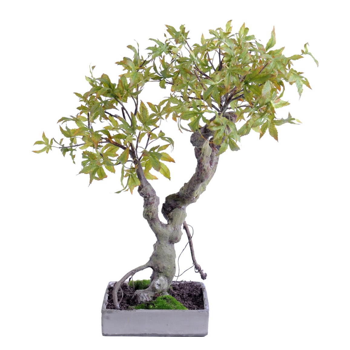 Bonsaï Érable Artificiel Rouge – Arbre Faux Réaliste UV Résistant Avec Pot – Plante Artificielle Décorative 60-280 Cm Intérieur Extérieur