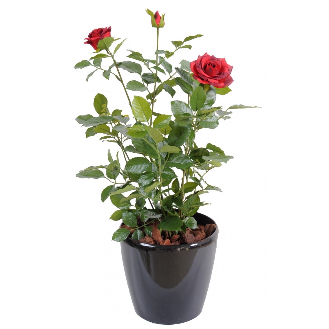 Rosier artificiel rouge Rosier artificiel rouge