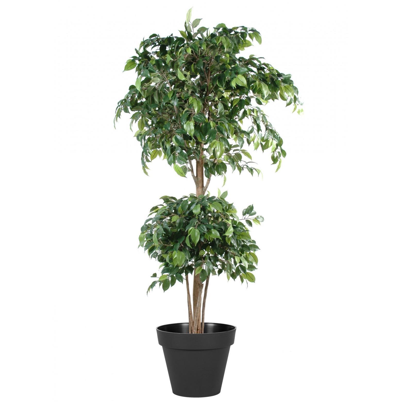 Ficus Artificiel Banian-180cm