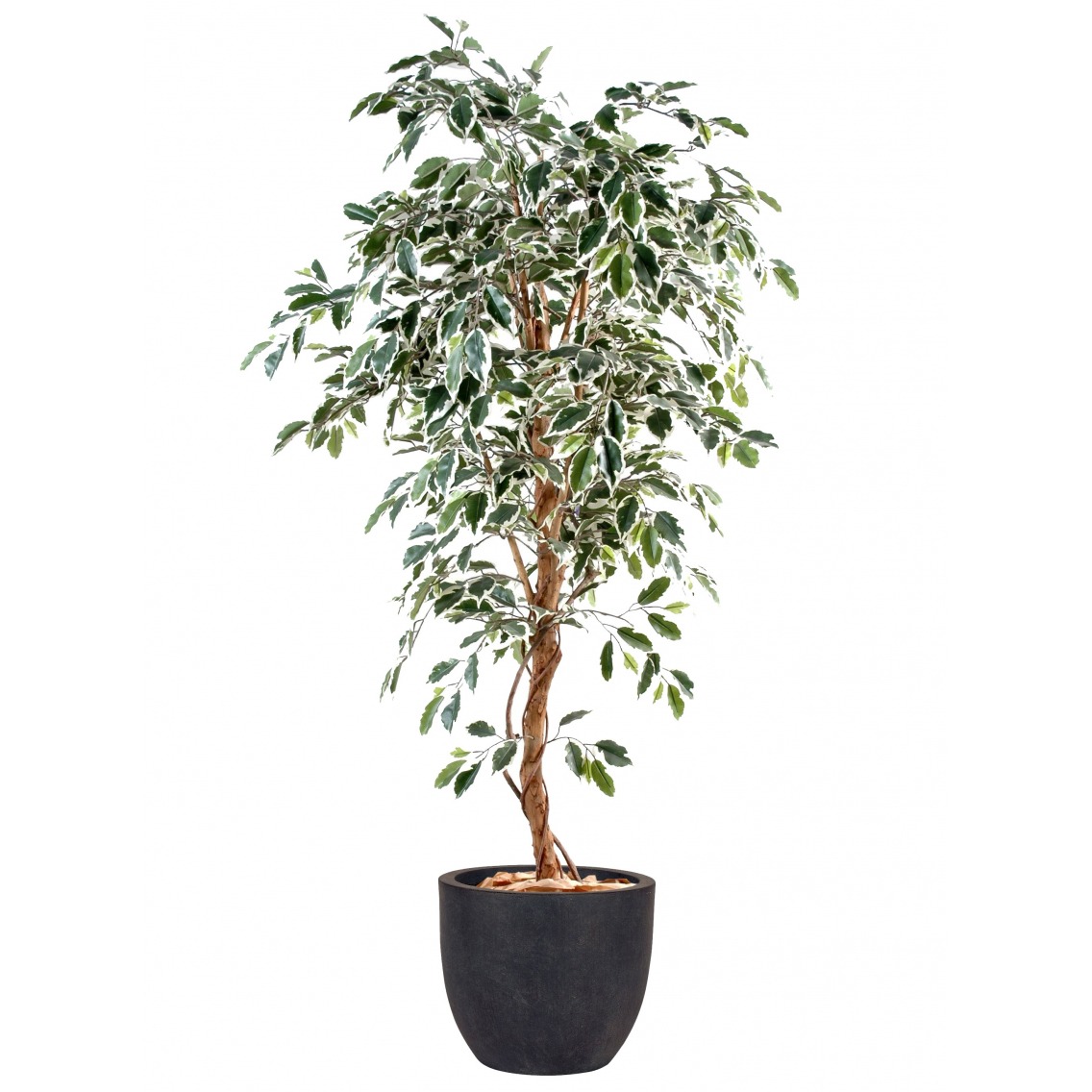 Ficus artificiel vert blanc Ficus artificiel vert blanc