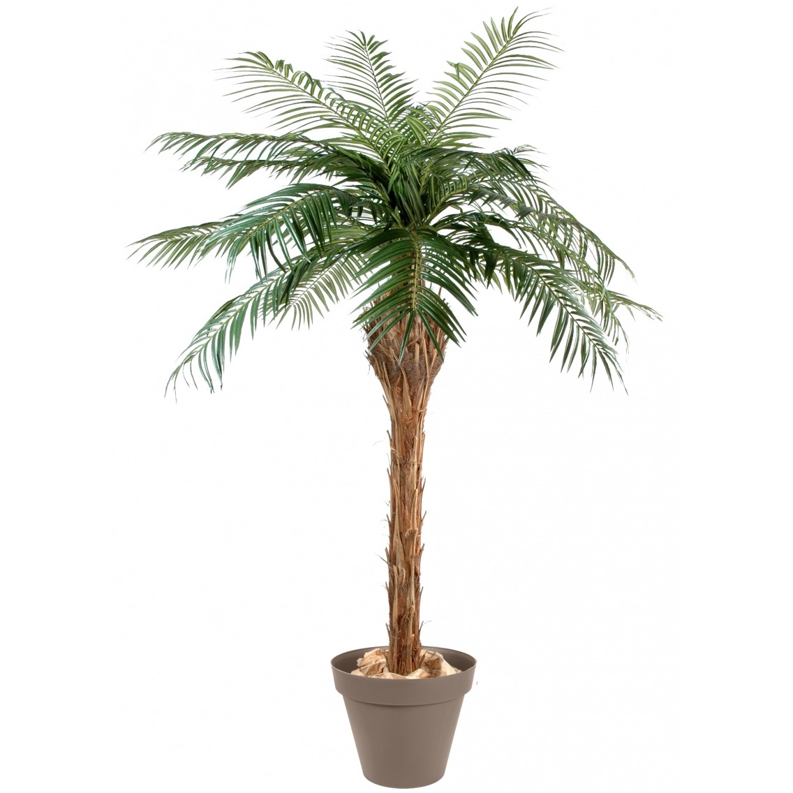 Palmier artificiel phoenix Palmier artificiel phoenix