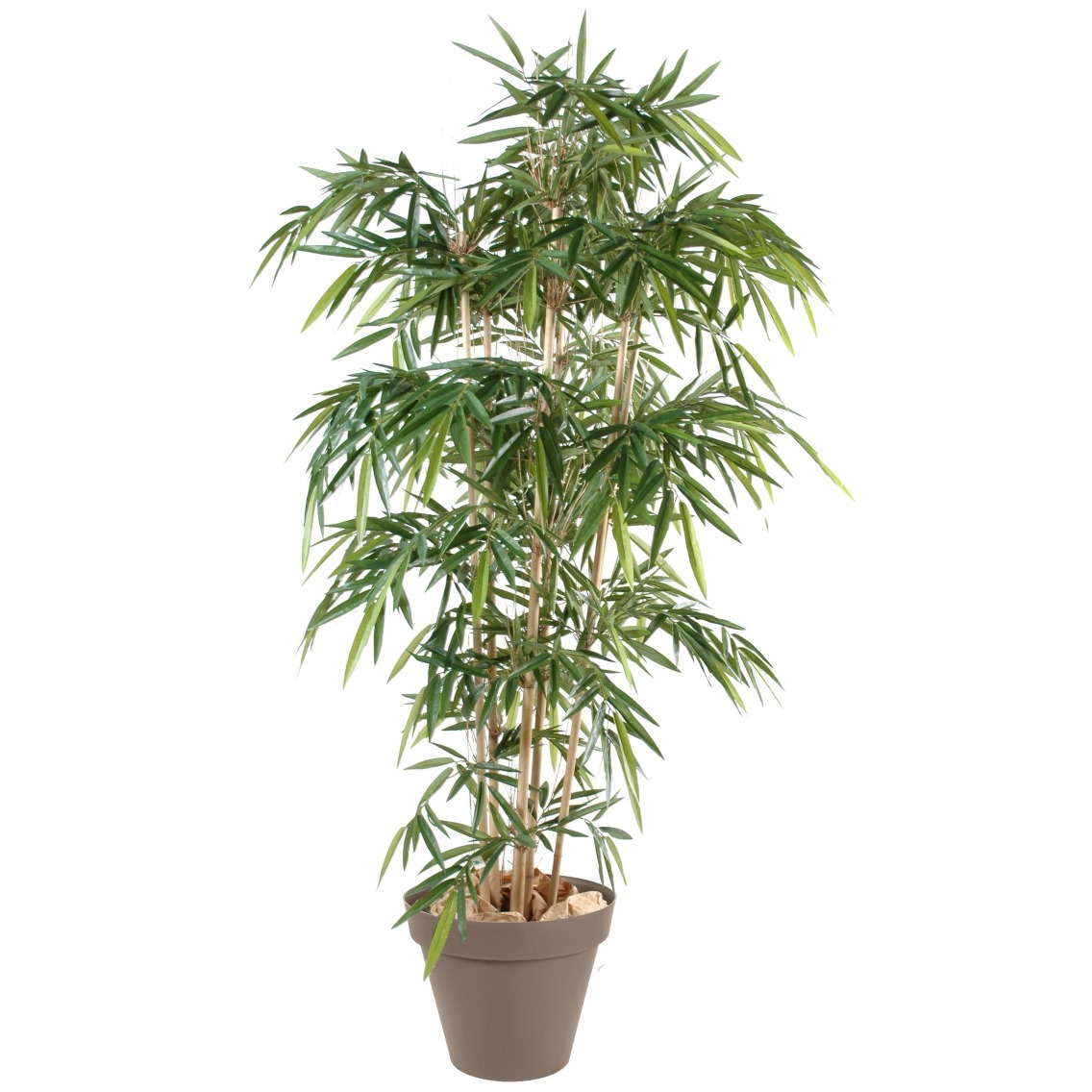 Faux Bambou Artificiel Traite Anti Uv Bambous Artificiels Artiplantes Faux Bambou Artificiel Traite Anti Uv Bambous Artificiels Artiplantes