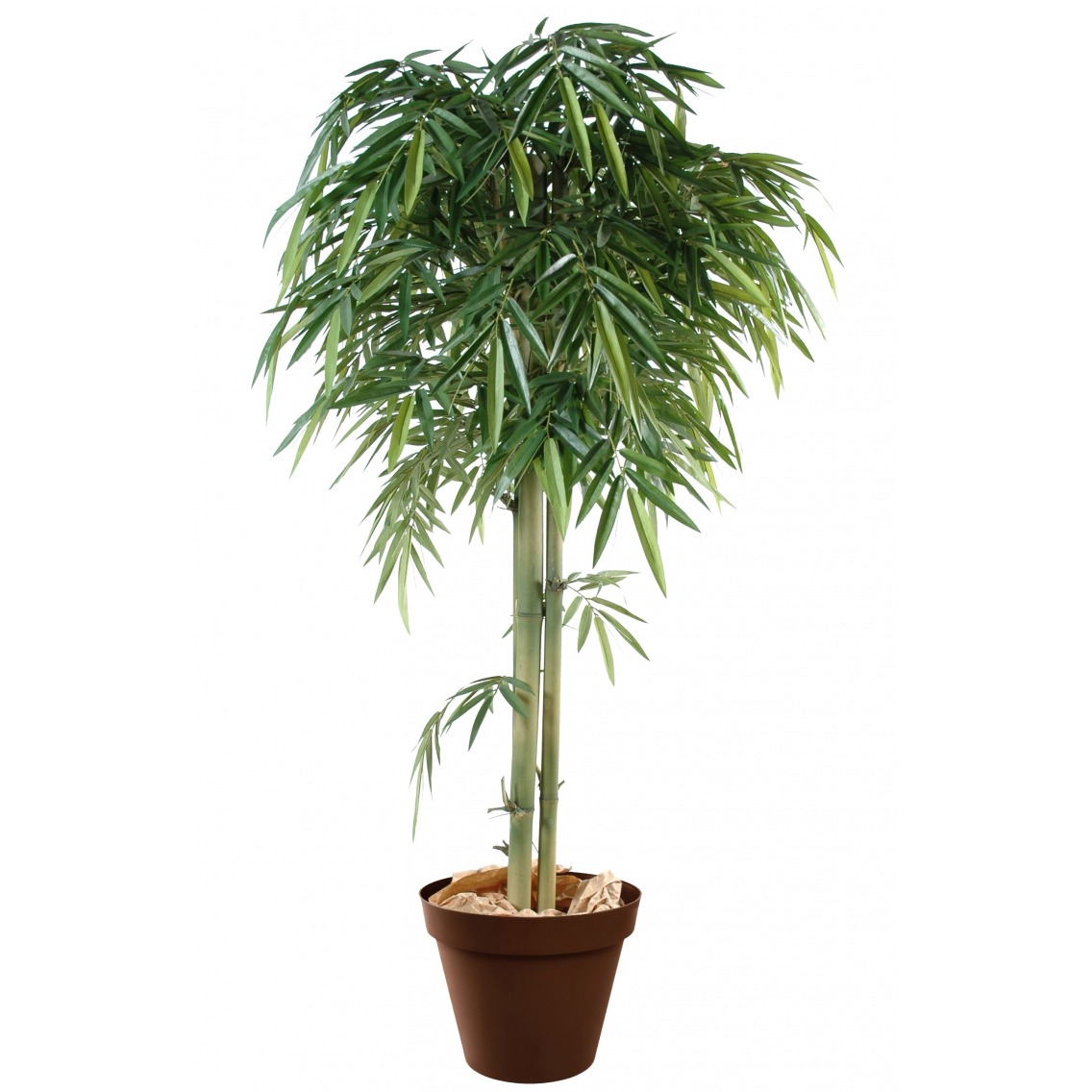 Bambou artificiel exotique Bambou artificiel exotique