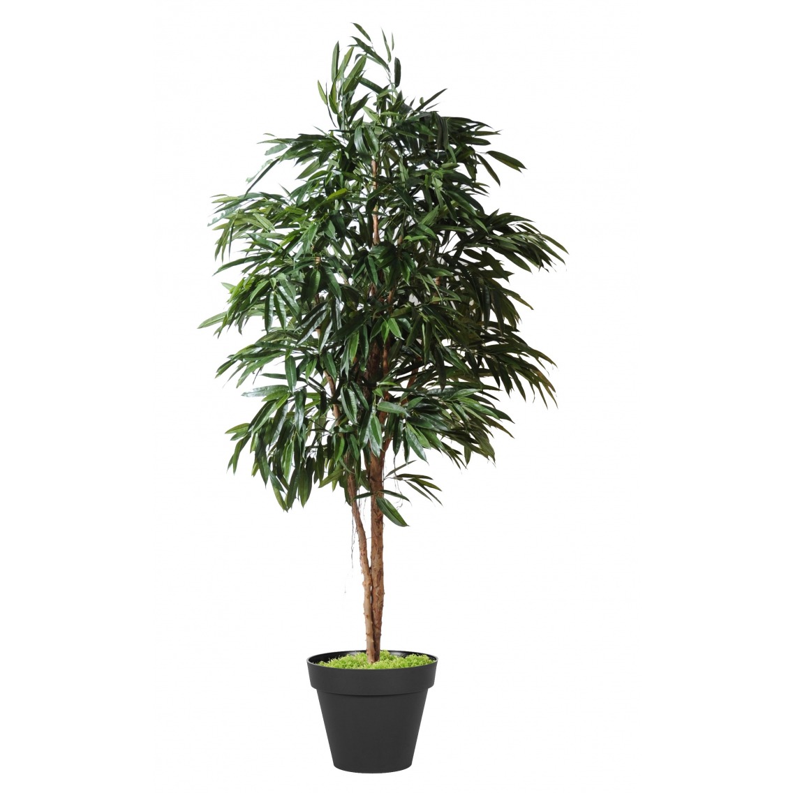 Ficus artificiel alii Ficus artificiel alii