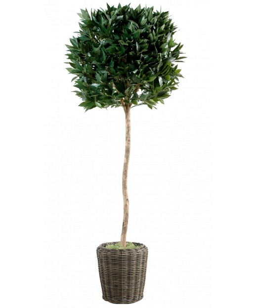 Laurier Artificiel Brise Vue En Cone-150cm