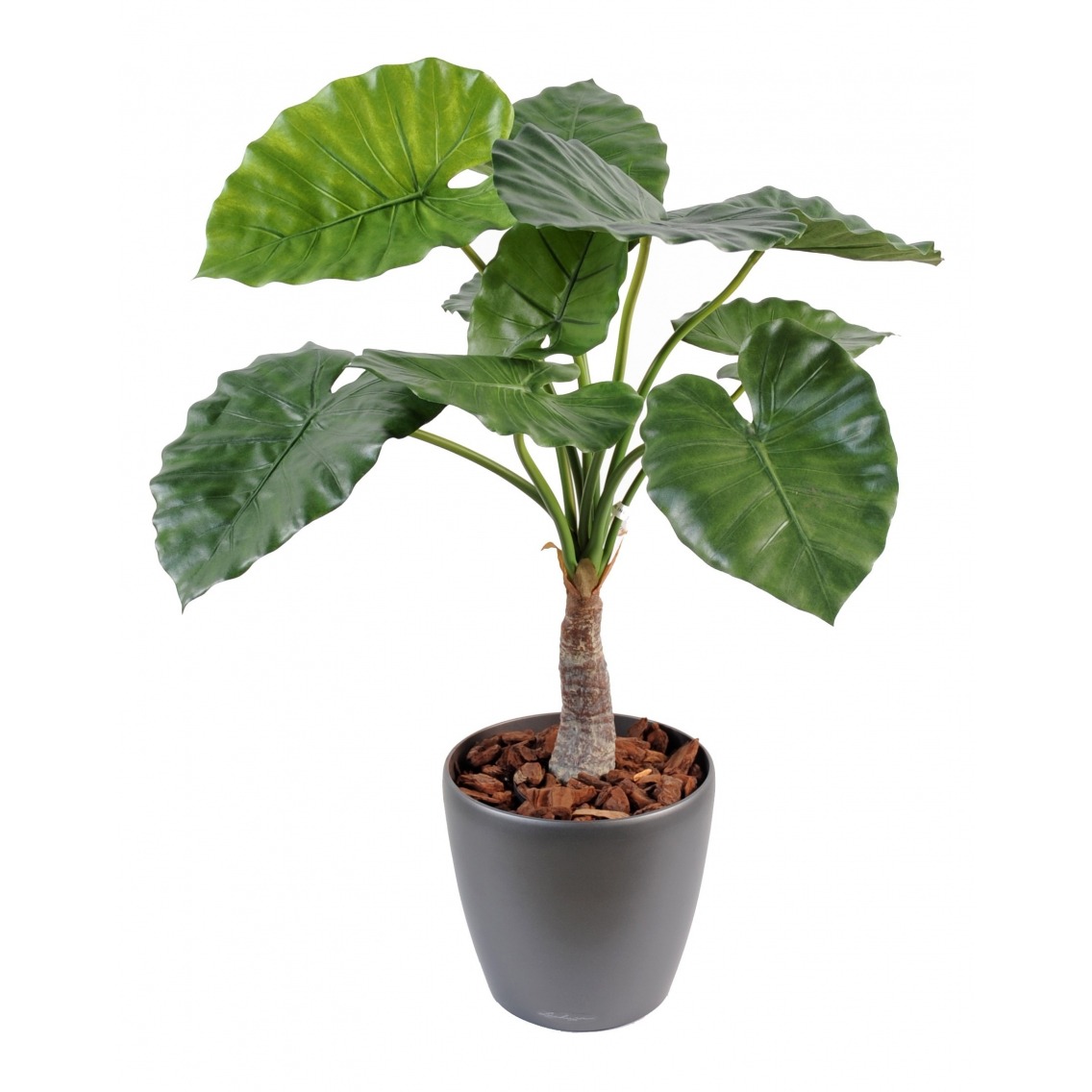 Alocasia calidora artificiel Alocasia calidora artificiel
