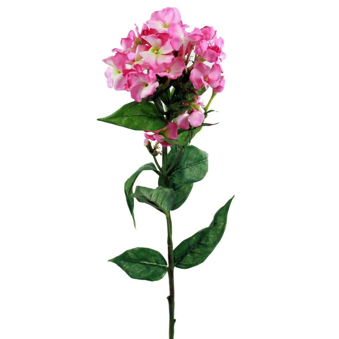 Phlox artificiel rose Phlox artificiel rose