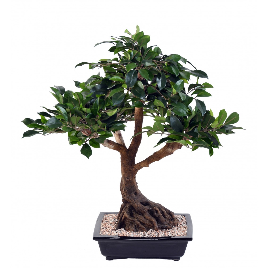 Bonsai artificiel ficus Bonsai artificiel ficus