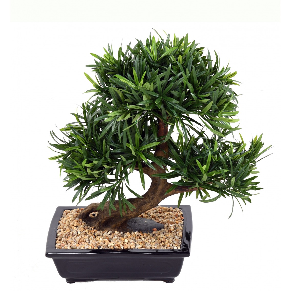 Bonsaï artificiel podcarpus Bonsaï artificiel podcarpus