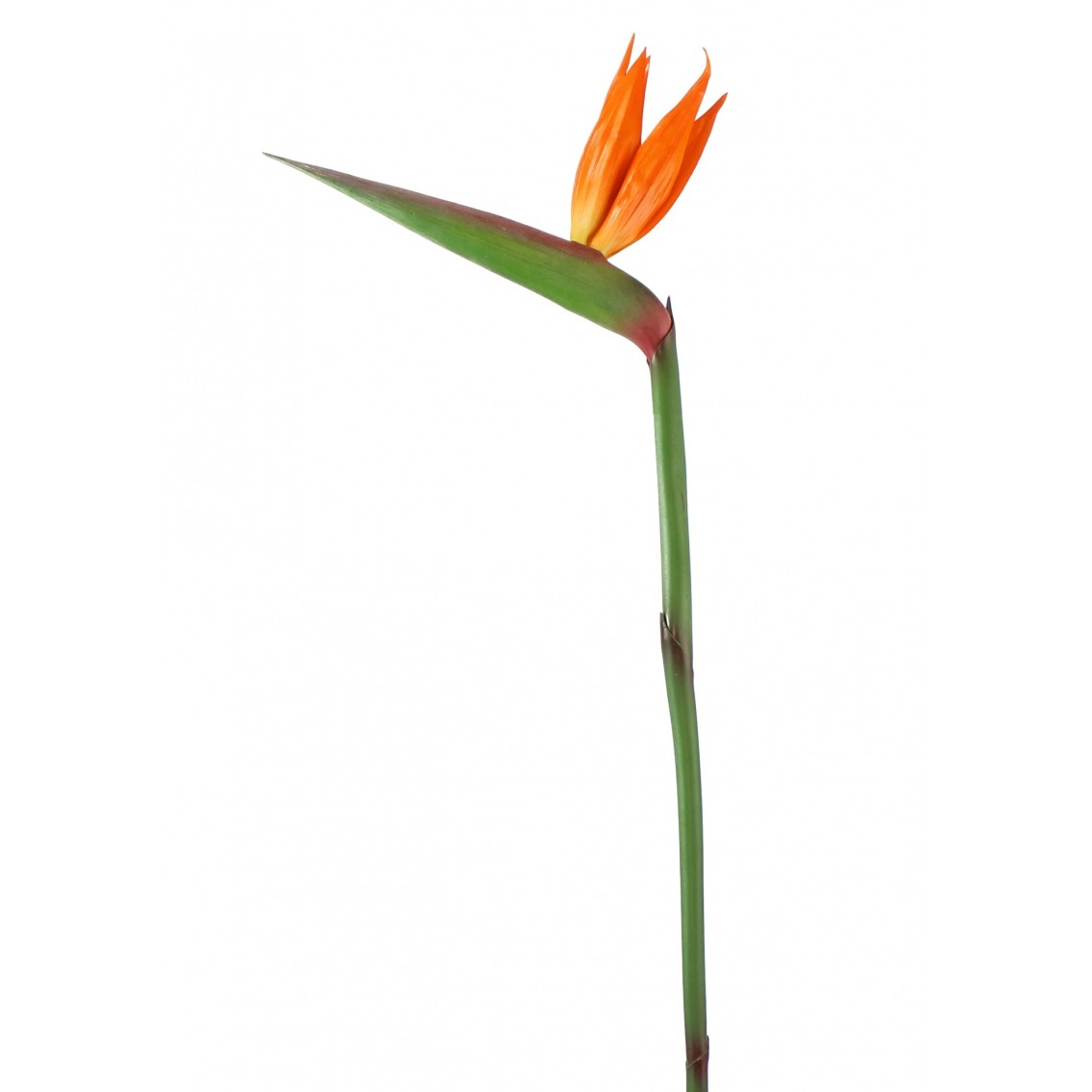 Tige de strelitzia artificielle fleurie Tige de strelitzia artificielle fleurie