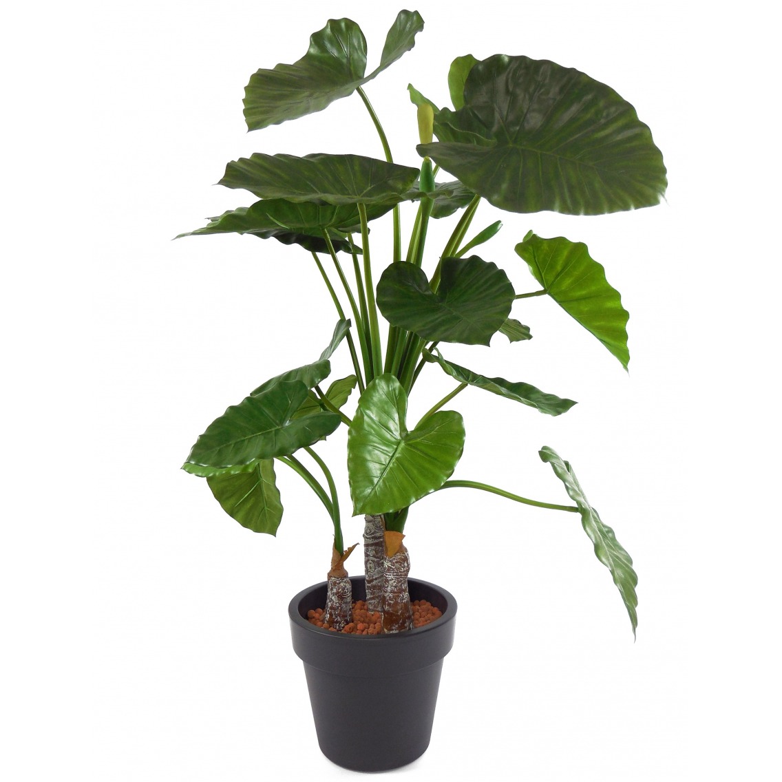 Alocasia artificiel Alocasia artificiel