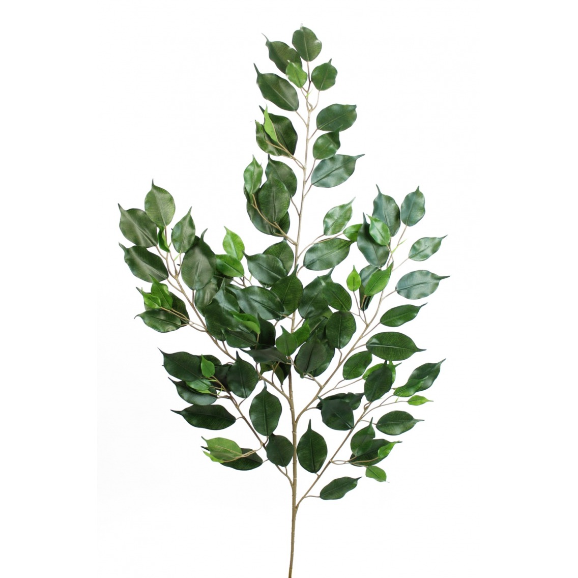 Feuille artificielle de ficus exotica Feuille artificielle de ficus exotica
