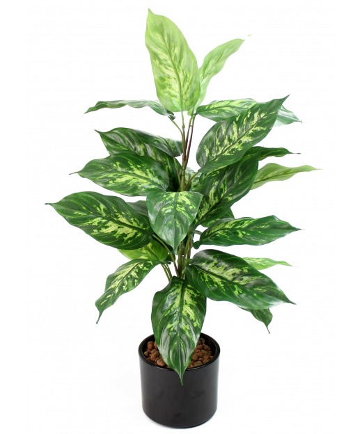 Plante Artificielle Dieffenbachia Feuilles Brunes-40 cm