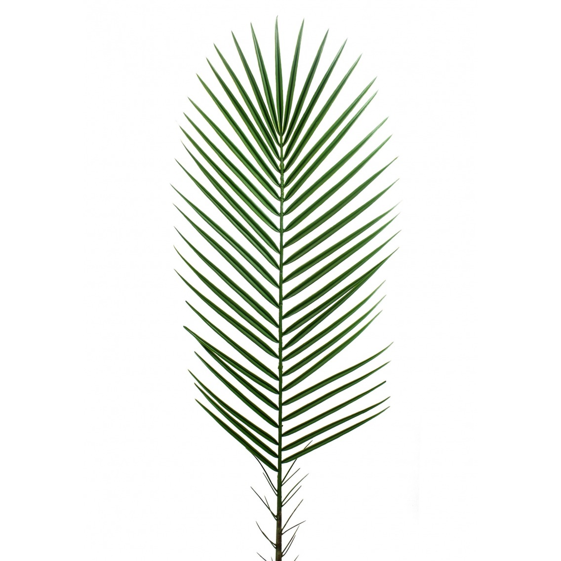 Feuille Artificielle De Palmier Des Canaries 30 Cm Feuilles Tropicales Artiplantes Feuille Artificielle De Palmier Des Canaries 30 Cm Feuilles Tropicales Artiplantes