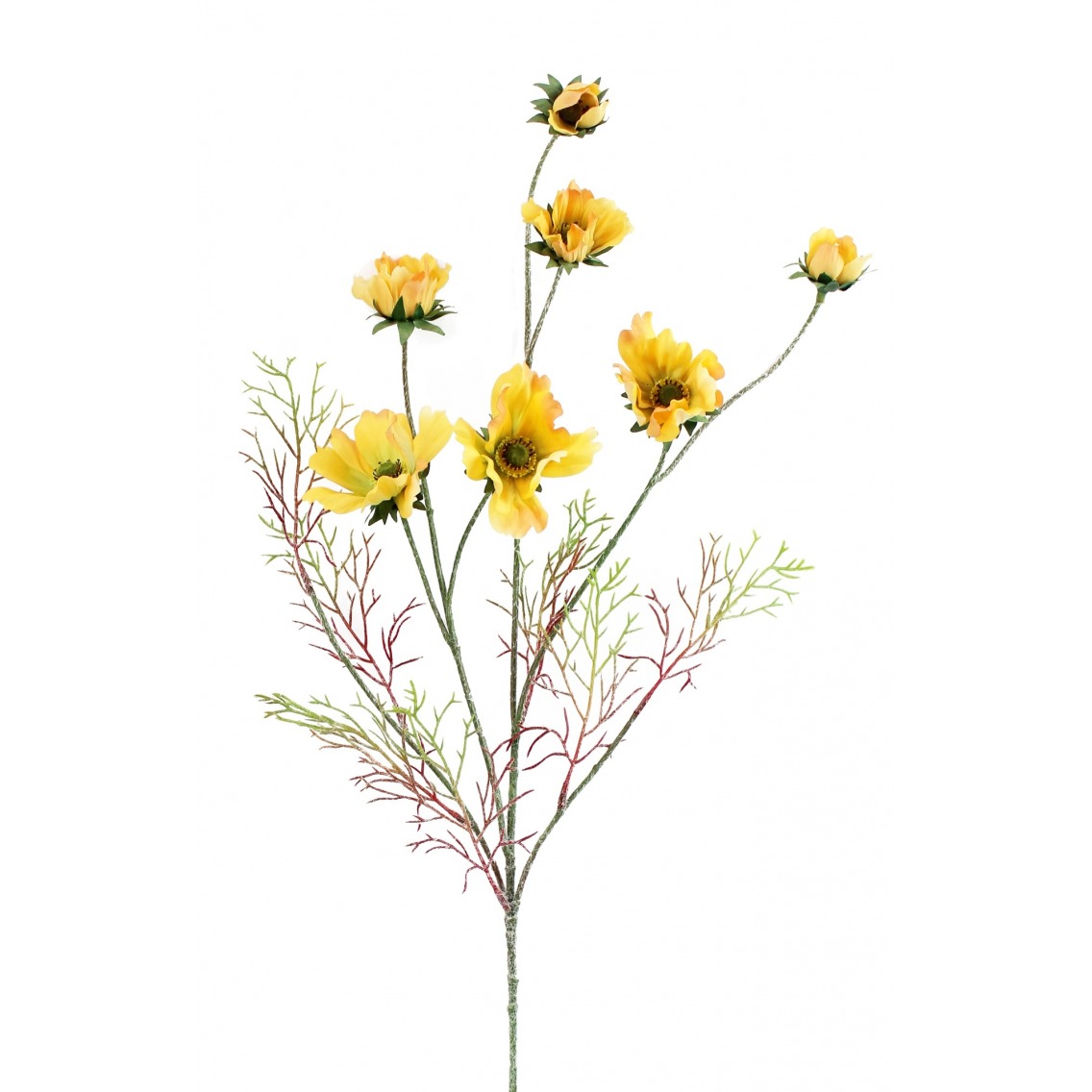 Cosmos jaune artificiel Cosmos jaune artificiel