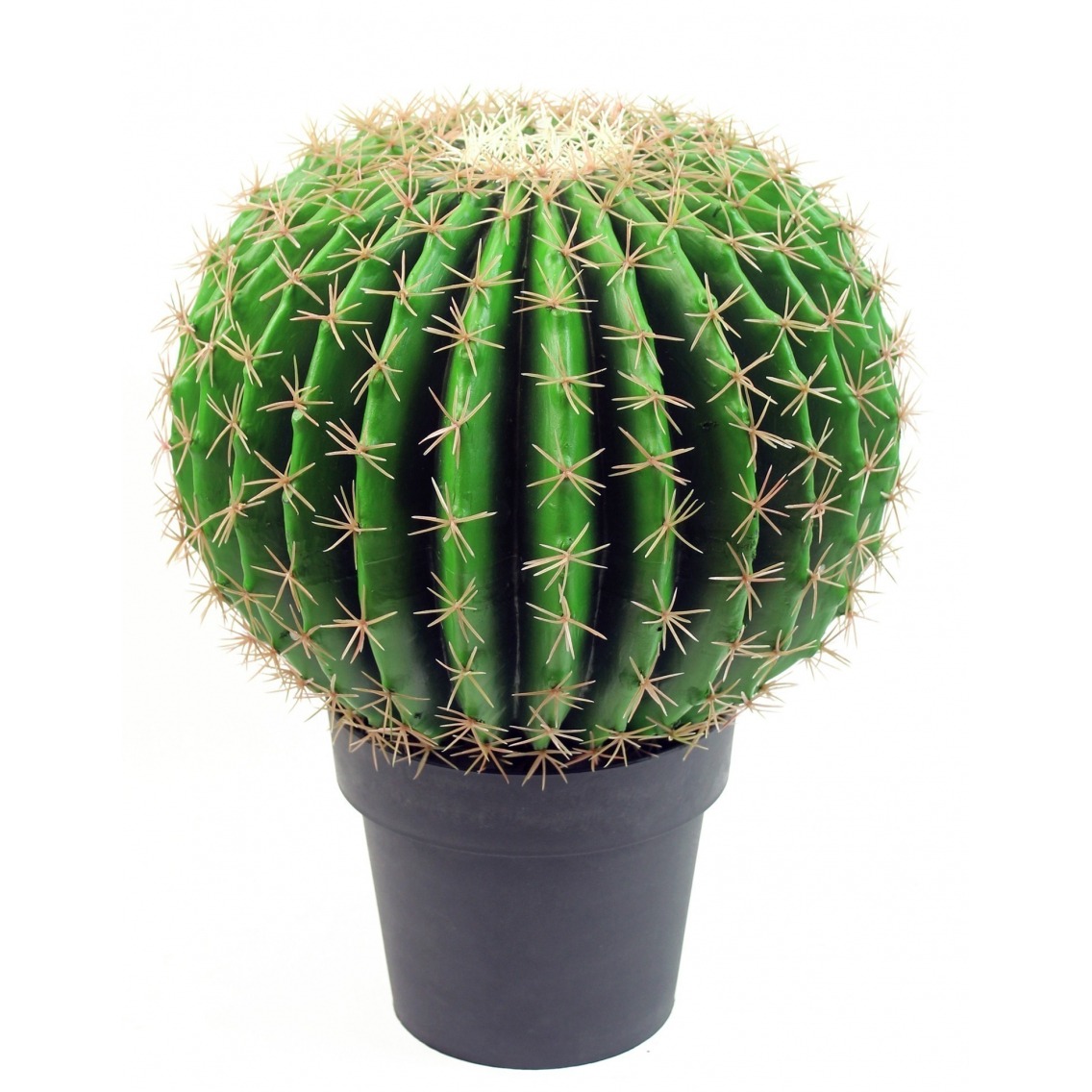 Échinocactus artificiel Échinocactus artificiel