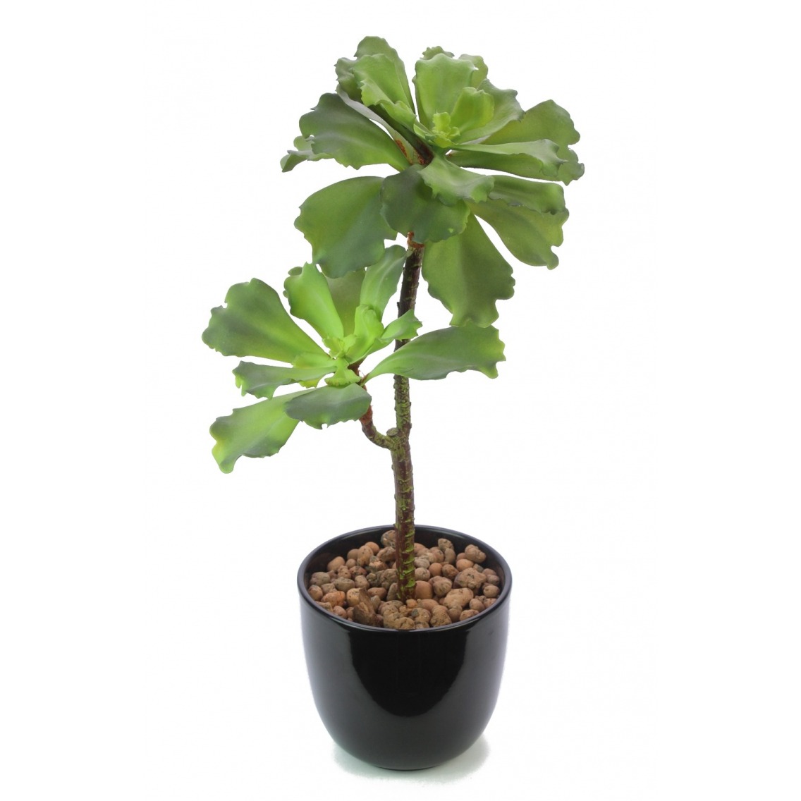 Succulente artificielle verte Succulente artificielle verte