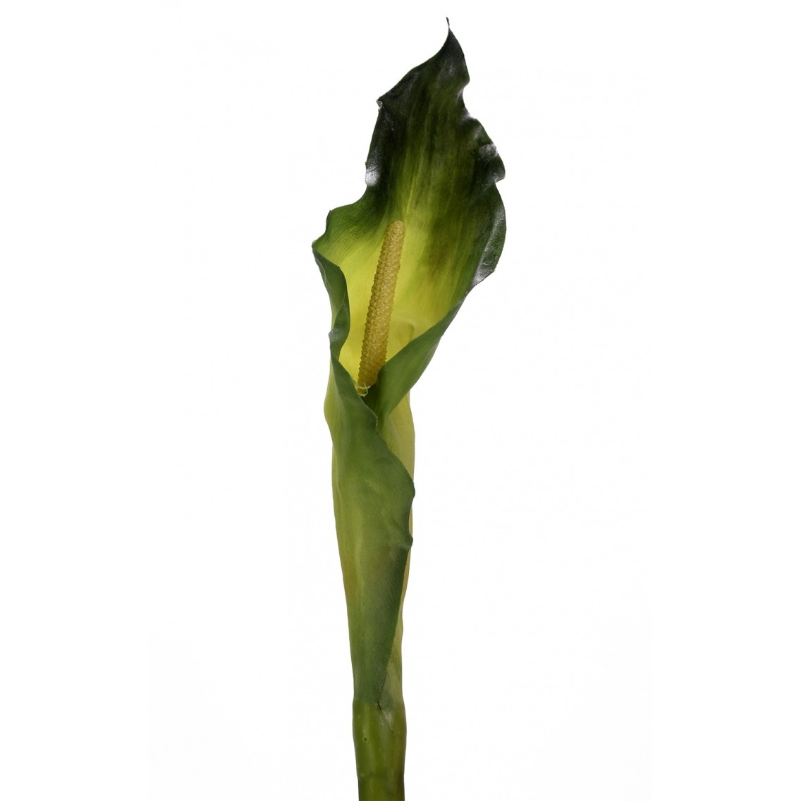 Arum artificiel Arum artificiel