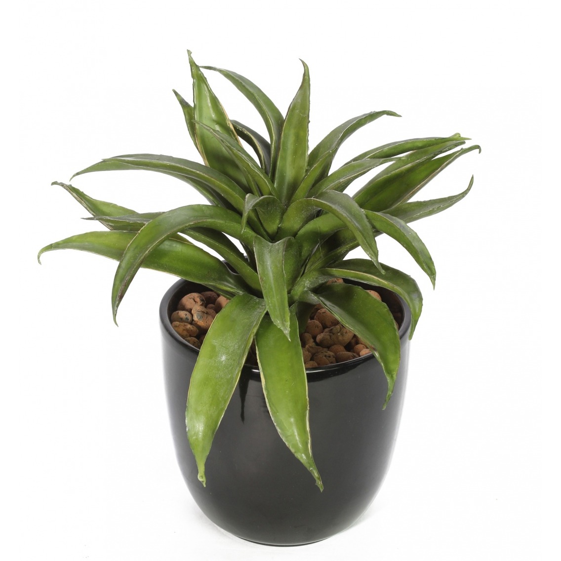 Agave lechuguilla artificiel Agave lechuguilla artificiel