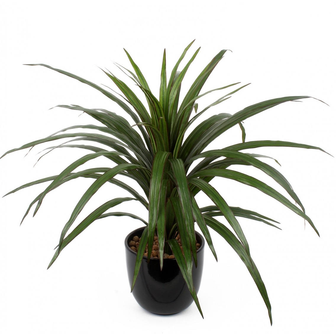 Dracaena marginata artificiel Dracaena marginata artificiel