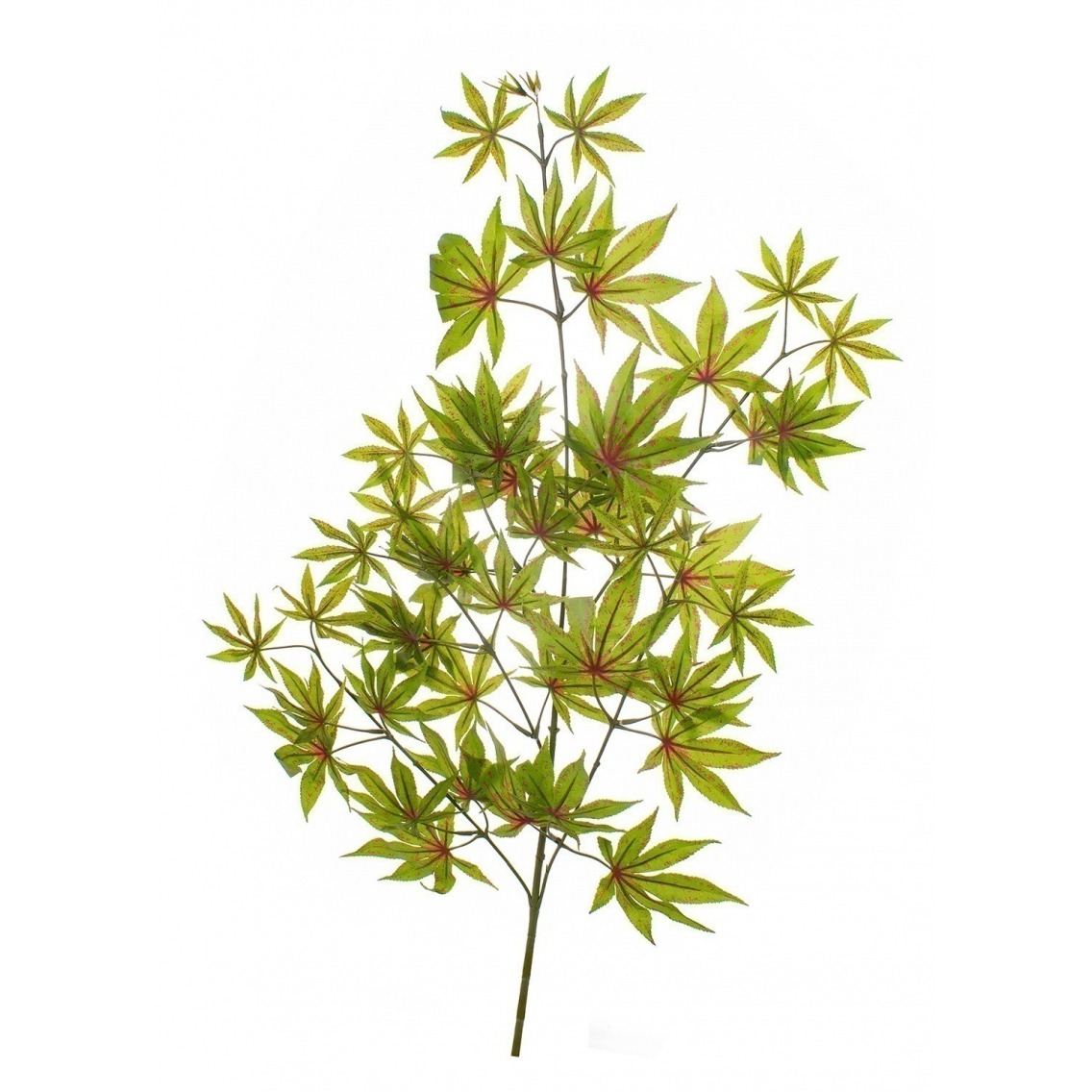 Feuille aralia artificielle Feuille aralia artificielle