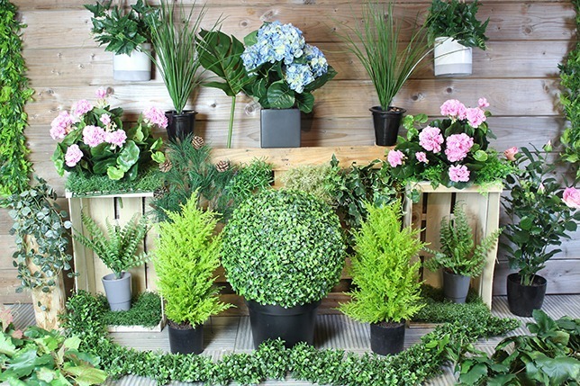 Brise vue végétal : les plantes pour être tranquille dans votre