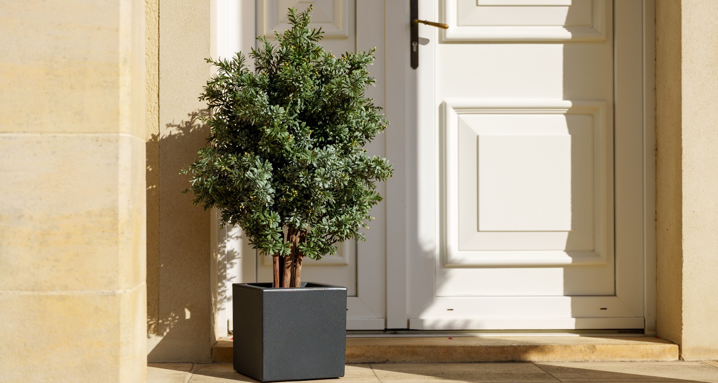Plante artificielle extérieure devant une porte