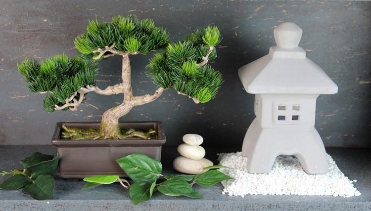 Pot de bonsaï chinois pour la décoration intérieure, plante non incluse,  micro-paysage créatif - AliExpress