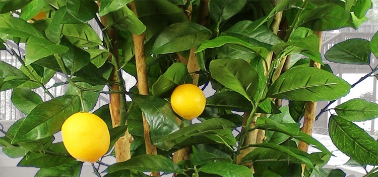 Citronnier artificiel avec fruits