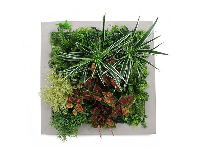 Créer un mur végétal artificiel avec des plaques artificielles - Blog -  Artiplantes