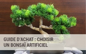 Guide d'achat : choisir un bonsa&iuml; artificiel