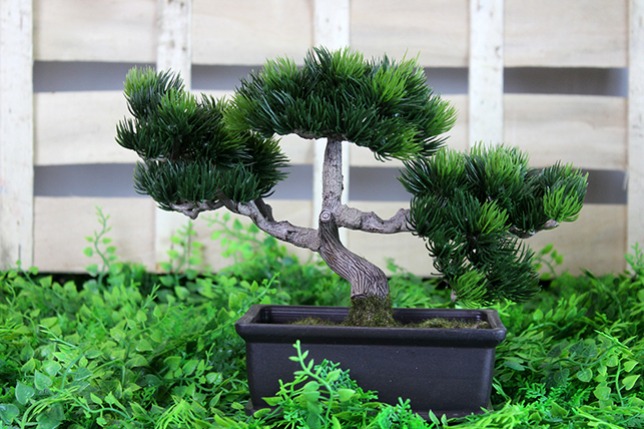 Jardin Zen Avec Bonsaï Taillé Au Centre Créé Avec Une Ia Générative