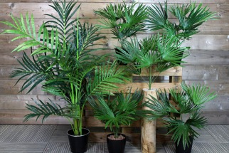 Tous les styles de déco avec un palmier artificiel